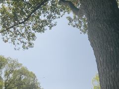 -仲盛世界商城