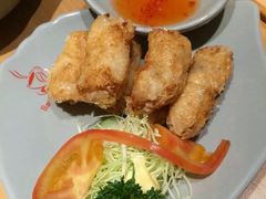 -Lia Cafe Bar Restaurant松山咖啡屋