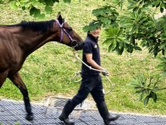 -香港赛马会双鱼河会所