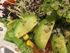 牛油果时蔬沙拉-千寻山野烤肉(中关村店)