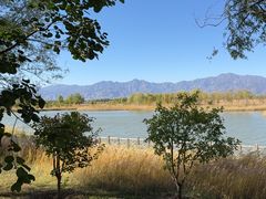 -野鸭湖国家湿地公园