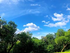 -晓港公园