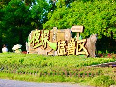 -上海野生动物园