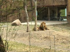 -齐齐哈尔龙沙动植物园