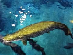 android_upload_pic-河川生态园