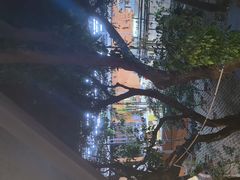 -荔城生鲜盛宴(番禺旗舰店)