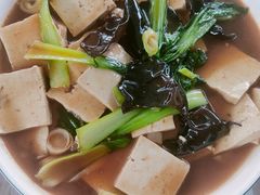 -特种渔场