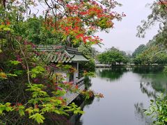 -星湖旅游景区七星岩