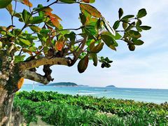 -三亚亚龙湾天域度假酒店