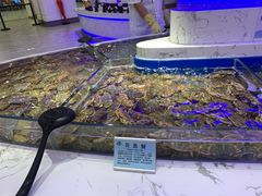 -澜悦港海鲜体验主题餐厅