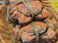 -蟹村草堂·苏式园林人文农家·大闸蟹