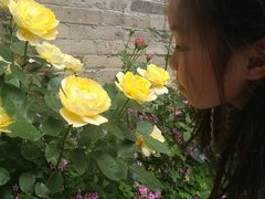 -回龙窝历史文化街区