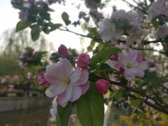 -元大都城垣遗址公园