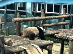 -大连森林动物园