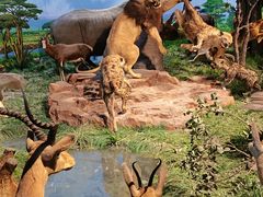 -国家自然博物馆