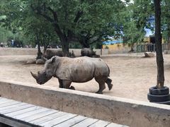 -西安秦岭野生动物园