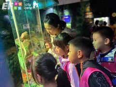 -英孚教育青少儿(高新公园茂中心)