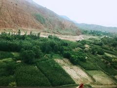 -渭南桃花源民俗文化园