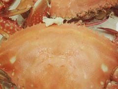-北塘海鲜·天津菜(大光明桥旗舰店)