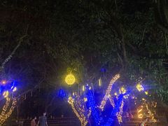 -奈雪的茶(华侨城创意园店)