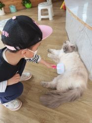 -萌宠亲子动物乐园(槐房万达店)