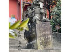 -铁山坪森林公园