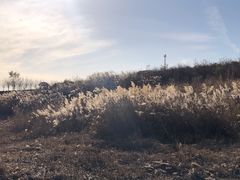 -赛汗塔拉风情园