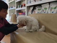 -宠颐生中康贝怡动物医院