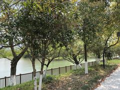 -西溪国家湿地公园