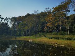 -长广溪湿地公园
