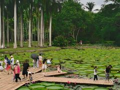 -中国科学院西双版纳热带植物园