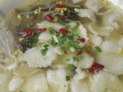 酸汤鱼-关东风老北方菜馆(桂芳园店)