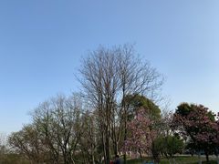 -钟山体育运动公园