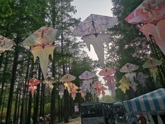-日照海滨国家森林公园