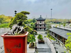 -奈雪的茶(市百一店)