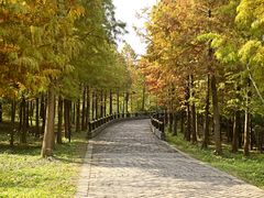 -溱湖国家湿地公园