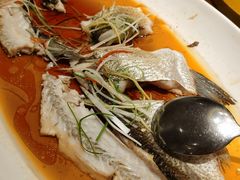 清蒸翘嘴鲌鱼-丹江渔村(望京店)