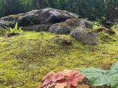 -上海植物园-4号门售票处