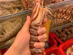 -鲜入围煮花胶鸡海鲜火锅