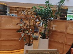 -无印良品餐堂 MUJI Diner(成都太古里店)