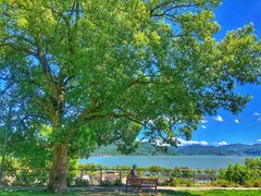 -东钱湖旅游度假区