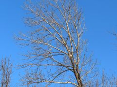 -松花湖风景名胜区