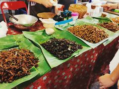 -席娜卡琳火车铁道夜市