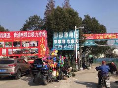 -小鱼草莓采摘园农家乐·小鱼餐厅
