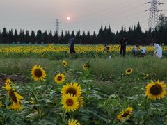 -汉长安城未央宫国家考古遗址公园