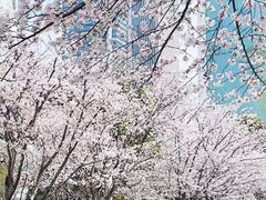 -西北湖绿化广场