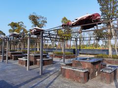 -春花秋色城市公园