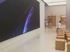 -Apple零售店(玄武湖店)