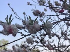 -狼山风景名胜区