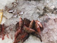 -渔中舟海鲜大排档(普陀沈家门店)